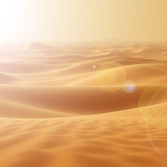 Окно решения