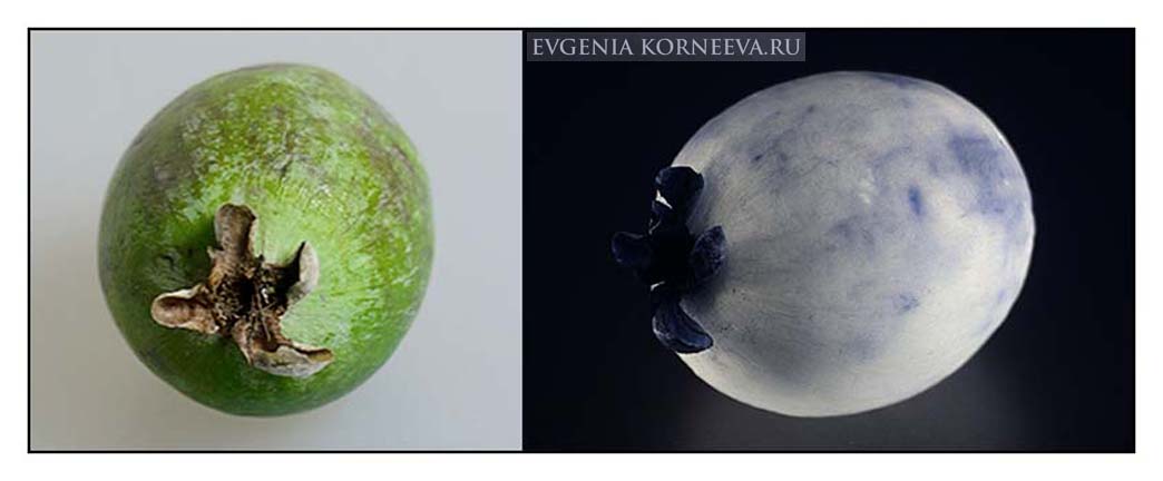 Фейхоа. Фотография инфракрасной люминесценции.